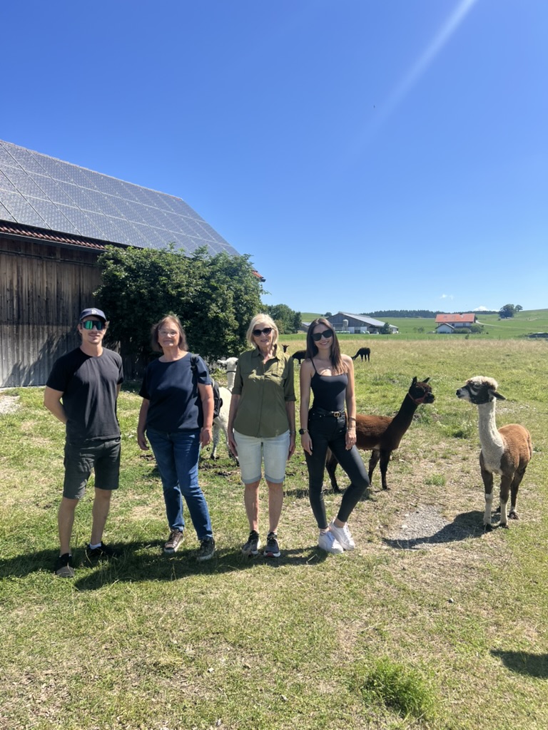 Alpakas mit Menschen auf Wiese